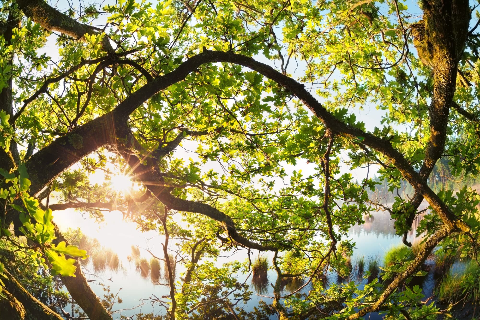 What to Expect at Your First Therapy Session